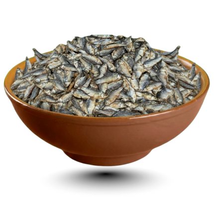 চ্যাপা শুঁটকি